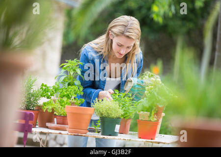 Young woman tending plants d'herbe à table de jardin Banque D'Images