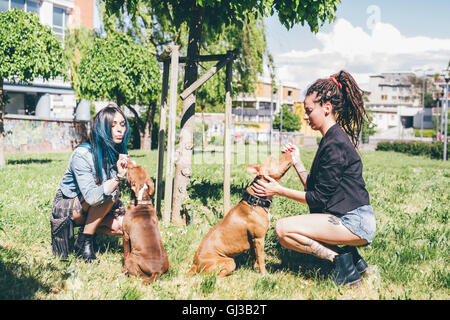 Deux jeunes femmes un pit bull terriers en parc urbain Banque D'Images