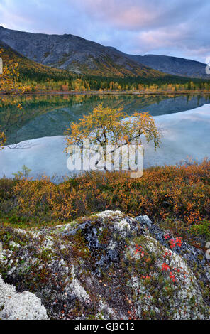 Paysage aux couleurs d'automne au lacs, montagnes Khibiny polygonal, péninsule de Kola, Russie Banque D'Images