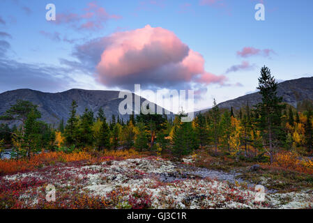 Couleur d'automne forêt près de lacs, montagnes Khibiny polygonal, péninsule de Kola, Russie Banque D'Images