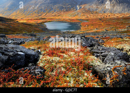 Couleurs d'automne dans la vallée de la rivière Malaya Belaya, montagnes Khibiny, péninsule de Kola, Russie Banque D'Images