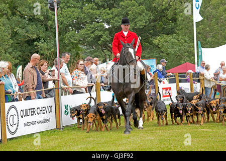 Des foules de visiteurs regardant maître et chiens de chasse Countryfile vivre 2016 Le Palais de Blenheim Woodstock UK Banque D'Images