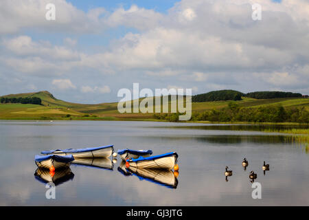 Les barques et les Bernaches du Canada sur Crag Lough, mur d'Hadrien, Northumberland, Angleterre, à la recherche de la côte est Banque D'Images