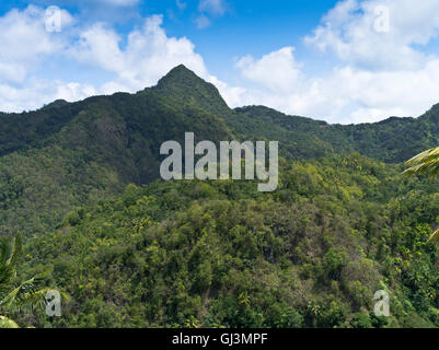 Dh ST LUCIA Caraïbes Caraïbes de montagnes et arbres de la forêt tropicale Banque D'Images