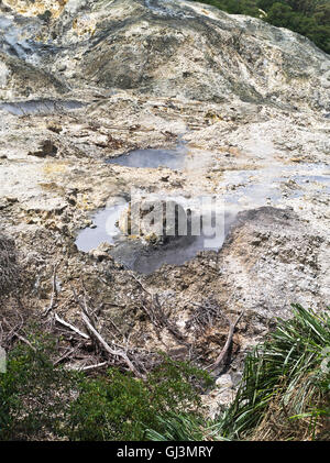 Dh Sulphur Springs ST LUCIA paysage volcanique des Caraïbes les évents de soufre Banque D'Images