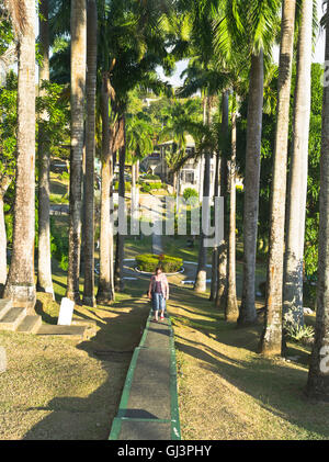 Dh Scarborough TOBAGO Caraïbes Caraïbes tourisme femme chemin Jardins Botaniques rangée de hauts palmiers Banque D'Images