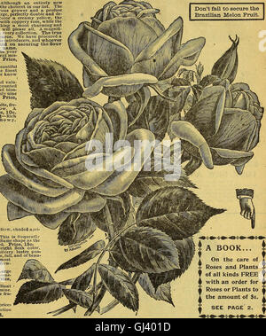 Ferme et guide floral - semences, plantes, bulbes, fruits et pommes de terre de semence (1896)