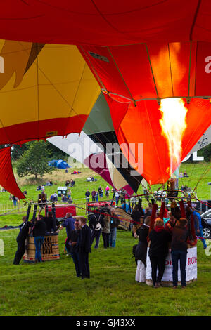 Bristol, Royaume-Uni. 12Th Aug 2016. La messe du matin ascension est annulé au Bristol Balloon Fiesta en raison de rafales de vent, cependant plusieurs de ces ballons sont restés pour un affichage intégré. Credit : Elizabeth Nunn/Alamy Live News Banque D'Images