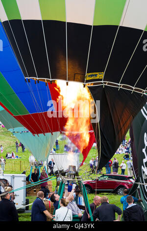 Bristol, Royaume-Uni. 12Th Aug 2016. La messe du matin ascension est annulé au Bristol Balloon Fiesta en raison de rafales de vent, cependant plusieurs de ces ballons sont restés pour un affichage intégré. Credit : Elizabeth Nunn/Alamy Live News Banque D'Images