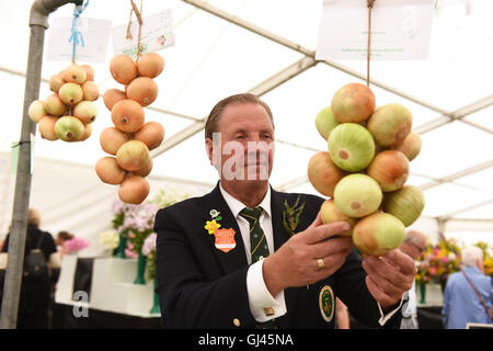 Shrewsbury Flower Show, Royaume-Uni. 12th août 2016. Un homme qui connaît ses oignons! Nick Anderson de la National Vegetable Society jugeant les expositions. Crédit : David Bagnall Banque D'Images