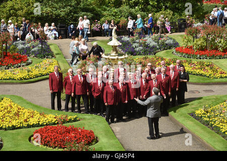 Shrewsbury Flower Show, au Royaume-Uni. 12 août, 2016. Un morceau de la Biddulph Male Voice Choir. Après leur performance dans le kiosque qu'ils ne pouvaient pas résister à une autre chanson dans le célèbre jardin de Dingle la pièce centrale du spectacle. Crédit : David Bagnall/Alamy Live News Banque D'Images