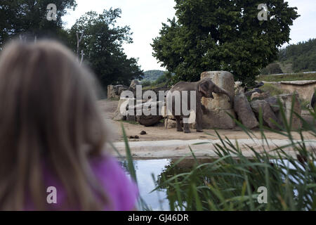 Prague, République tchèque. 29 juillet, 2016. Le zoo de Troja Prague.zoo de Prague est dit être l'un des meilleurs en Europe. Il a été ouvert en 1931 avec l'objectif de ''Promouvoir l'étude de la zoologie, de la protection des espèces sauvages, et d'éduquer le public'' dans le quartier de Troja dans le nord de Prague. Le zoo de Troja abrite environ 4 200 animaux qui représentent près de 650 espèces, dont 132 espèces inscrites comme étant menacées, Prague, République tchèque. © Veronika Lukasova/ZUMA/Alamy Fil Live News Banque D'Images