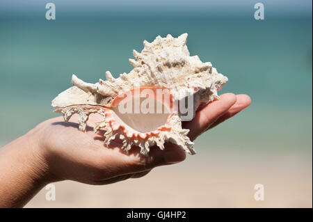 Conque Beach Madagascar Banque D'Images