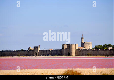 Les remparts de la ville fortifiée d'Aigues-Mortes vu sel rose Banque D'Images