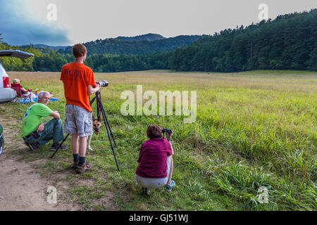 Les photographes se rassemblent le long bord de prairie pour regarder des wapitis dans la région de la vallée du site Cataloochee Great Smoky Mountains National Park Banque D'Images