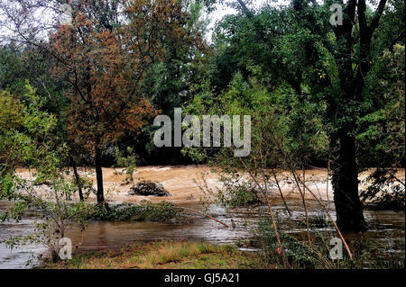 L'inondation dans la rivière Vidourle après de fortes pluies en France située dans le département du Gard, dans les contreforts des Cévennes. Banque D'Images