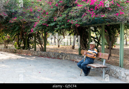 Adulte senior tenant son bâton, assis et se reposant sur un banc dans les beaux jardins centraux Banque D'Images