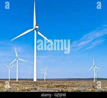 dh Camster Windfarm CAMSTER CAITHNESS Ecosse éoliennes paysage champ de turbines parc éolien vestas royaume-uni Banque D'Images