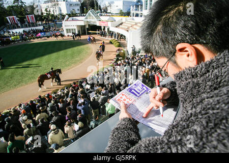 Punters contrôler l'chevaux et leur forme à la parade anneau pour la race 11, la grande course du jour l'American Jockey Club Cup Banque D'Images