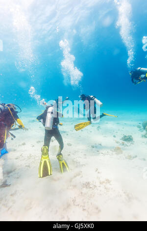 Groupe de plongeurs au-dessus le fond de sable, Bali Banque D'Images