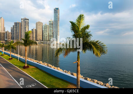 Vue sur le quartier financier au centre-ville de ville de Panama, Panama, avec une voie cyclable et de palmiers ; le concept de voyage dans le moule Banque D'Images