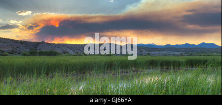 La fumée d'un incendie de forêt lointaine sur un marais à Bosque del Apache National Wildlife Refuge, Nouveau Mexique, USA. Banque D'Images