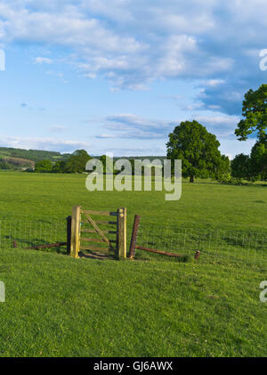 dh Wardens Way WINCHCOMBE GLOUCESTERSHIRE sentier champ porte stile campagne cotswolds country uk foot path été Banque D'Images