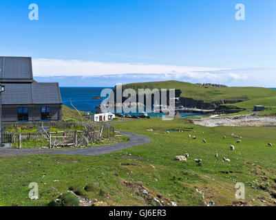 Dh FAIR ISLE SHETLAND Bird Observatory North Haven Banque D'Images