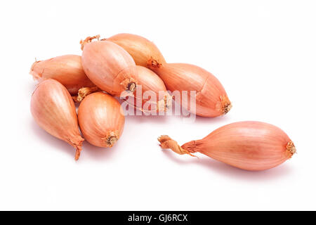 Echalote oignons isolé sur fond blanc Banque D'Images