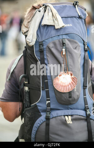 Des milliers de visiteurs et pèlerins se rassemblent à Santiago de Compostelle pour célébrer St James Day.ici au pied de la cathédrale. Banque D'Images