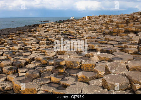 Le Giant's Causeway est une zone d'environ 40 000 colonnes de basalte d'enclenchement, le résultat d'une ancienne éruption volcanique. Banque D'Images