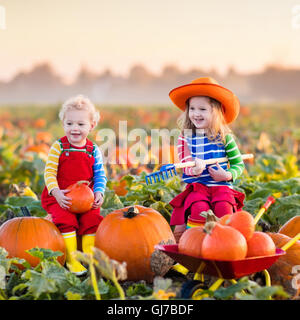 Little girl et boy picking sur citrouilles Halloween Pumpkin Patch. Enfants jouant dans le champ de courges. Les enfants choisir des légumes mûrs Banque D'Images