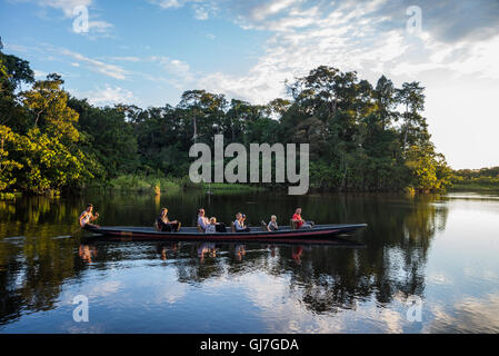 Un canoë avec bassin pour les touristes sur Amazon au coucher du soleil. Le Parc national Yasuni, en Equateur, en Amérique du Sud. Banque D'Images