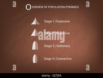 Population et démographie, Illustration Ensemble de 5 types de pyramides des âges ou graphique graphique on Chalkboard Background Illustration de Vecteur