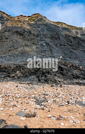 La chute de roches de Black Ven Marl Député de la falaise d'argile Lias sur une plage de galets et de sable de bardeaux étalage jusqu'à la mer Banque D'Images