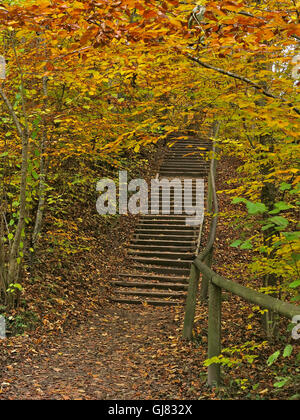 Allemagne, automne, Ostfildern, Hörndl-Wanderweg, sentier, Mallorca, escaliers Banque D'Images
