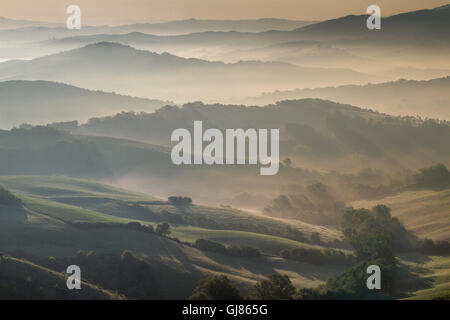 Guardistallo, Toscane, Italie, vue depuis la colline de Ricrio, paysage sur le brouillard Banque D'Images