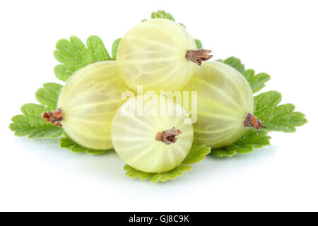 Groseille groseilles fruits fruits fruits isolés sur un fond blanc Banque D'Images