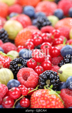 Des fruits à baies fraîches collection Fraises, Bleuets Framboises Groseilles rouges copyspace Banque D'Images