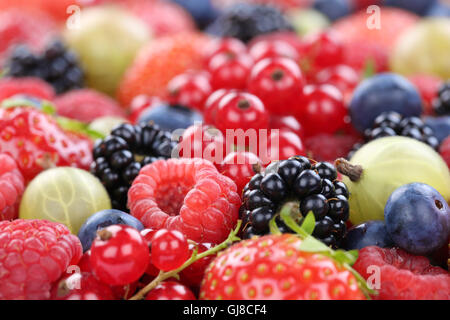 Des fruits à baies collection Fraises, Bleuets Framboises Groseilles rouges copyspace Banque D'Images