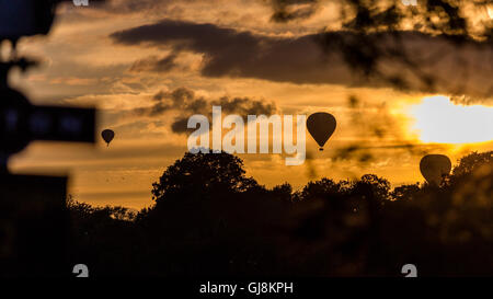 Bristol, Royaume-Uni. 13e Août 2016. L'ascension de la Bristol Balloon Fiesta Festival arrive enfin en cours après des retards en raison des vents violents depuis le jeudi. Un magnifique coucher de soleil a agi comme une toile de fond à plusieurs ballons qui a pris au ciel après les organisateurs du festival ont donné le feu vert pour décoller. Les ballons dérivaient sur la ville de Bristol vers les hameaux de Bitton et Keynsham avant de toucher par champs aléatoires et de parc de nombreux kilomètres de l'Ashton Court site du festival. Credit : Wayne Farrell/Alamy Live News Banque D'Images