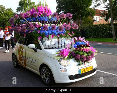 La Haye, Pays-Bas. 13e Août 2016. Un flotteur est visible pendant le corso fleuri Noordwijk, Pays-Bas, le 13 août 2016. La Parade des fleurs annuelles depuis 1946 a eu lieu à Rijnsburg, Katwijk et Noordwijk du Nehterlands le samedi. Credit : Gong Bing/Xinhua/Alamy Live News Banque D'Images