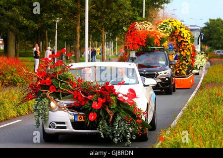 La Haye, Pays-Bas. 13e Août 2016. Les flotteurs sont vus pendant le corso fleuri Noordwijk, Pays-Bas, le 13 août 2016. La Parade des fleurs annuelles depuis 1946 a eu lieu à Rijnsburg, Katwijk et Noordwijk du Nehterlands le samedi. Credit : Gong Bing/Xinhua/Alamy Live News Banque D'Images