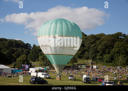 Bristol, Royaume-Uni, 14 août 2016,Fortnum and Mason balloon au Bristol International Balloon Fiest Crédit : Keith Larby/Alamy Live News Banque D'Images