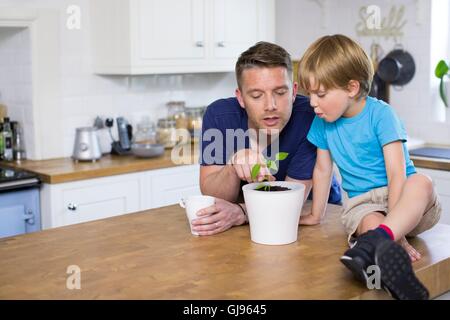 Parution de la propriété. Parution du modèle. Père et fils à la recherche à l'usine en pot. Banque D'Images