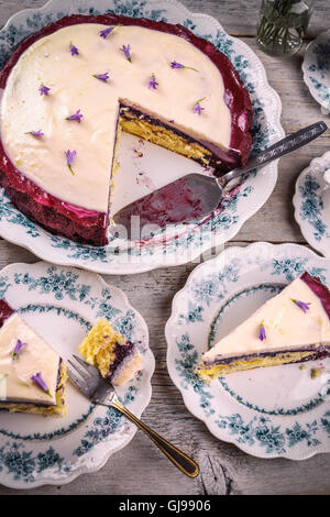 Gâteau au fromage à la crème au mascarpone et aux bleuets avec coloration Banque D'Images