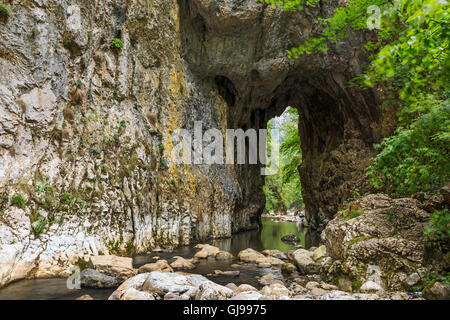 Portail des gorges et des cours d'eau en été, Transylvanie, Roumanie Banque D'Images