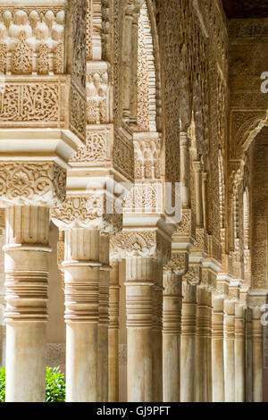 Palais de l'Alhambra, Grenade, Espagne. Colonne à l'intérieur de la Cour des Lions Banque D'Images