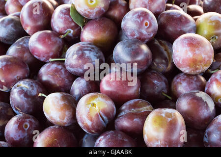 Close up de prunes. Banque D'Images