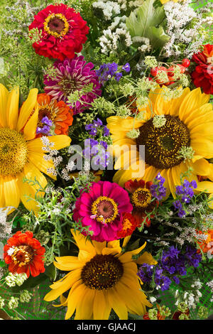 Close up de fleurs colorées. Banque D'Images
